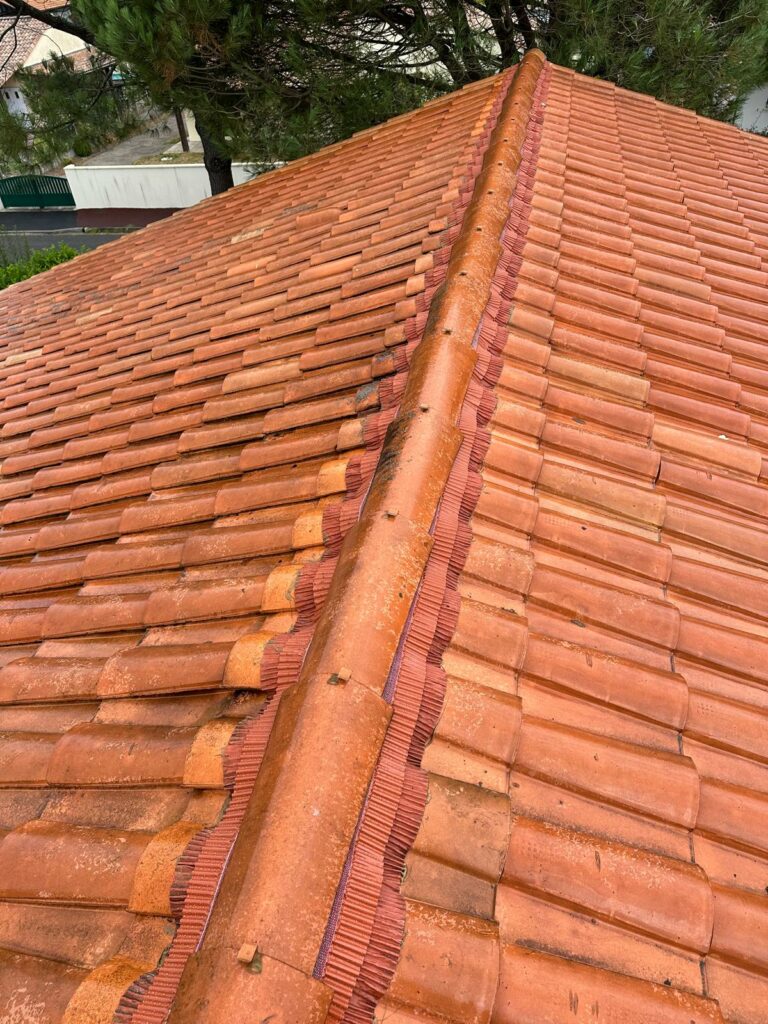 PHOTO 2025 11 10 23 19 45 3 768x1024