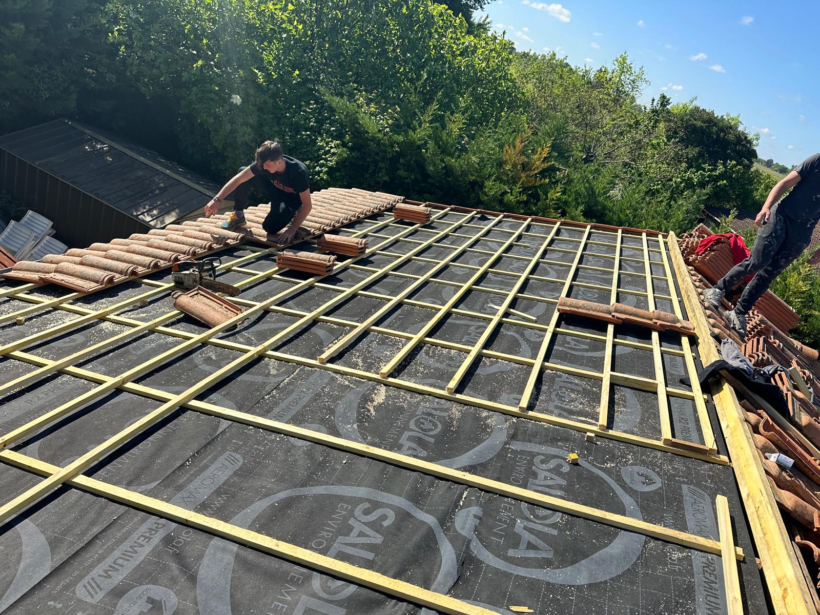 PHOTO 2025 11 10 23 19 49