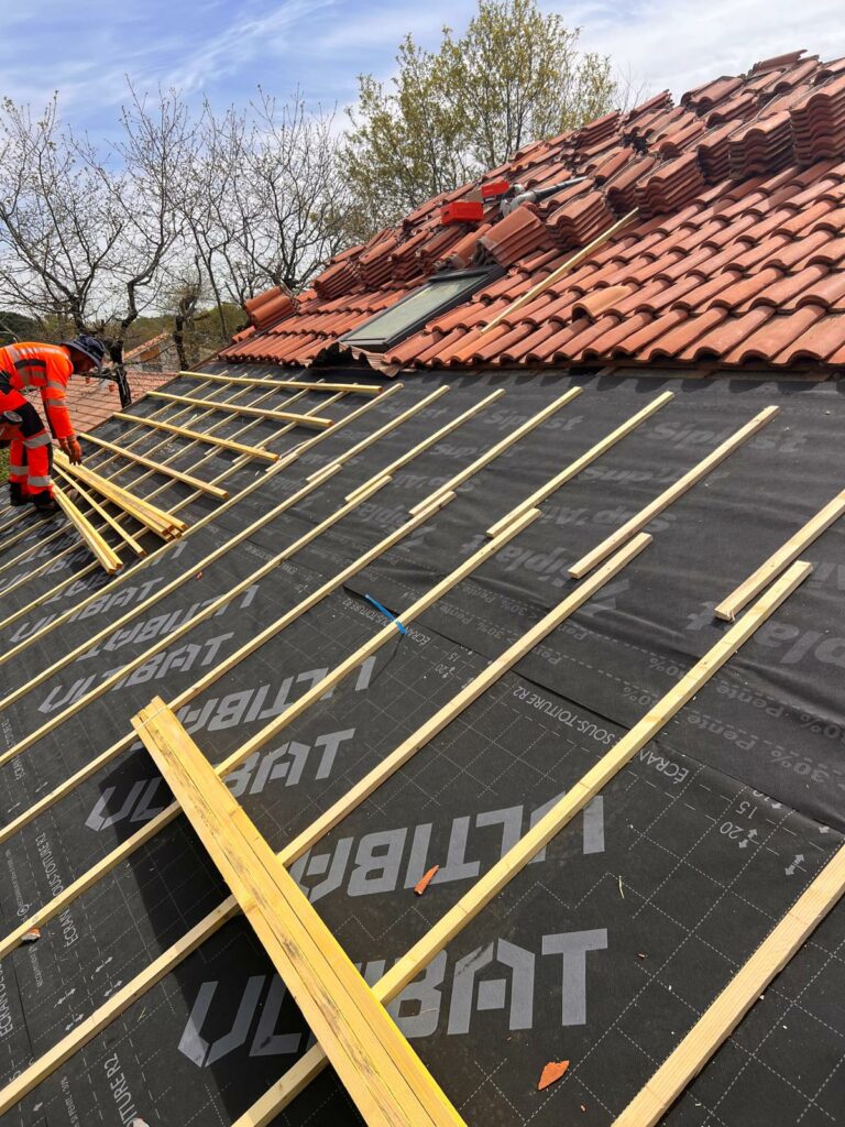 PHOTO 2025 11 10 23 19 57 768x1024