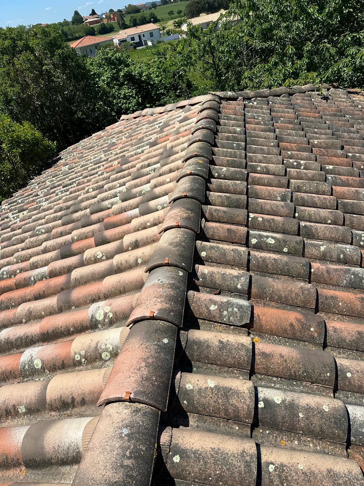 PHOTO 2025 11 10 23 20 03 2