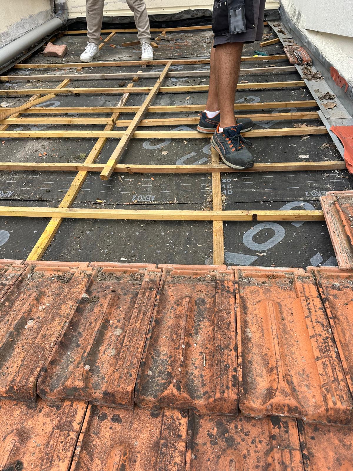 PHOTO 2025 11 10 23 20 04 2