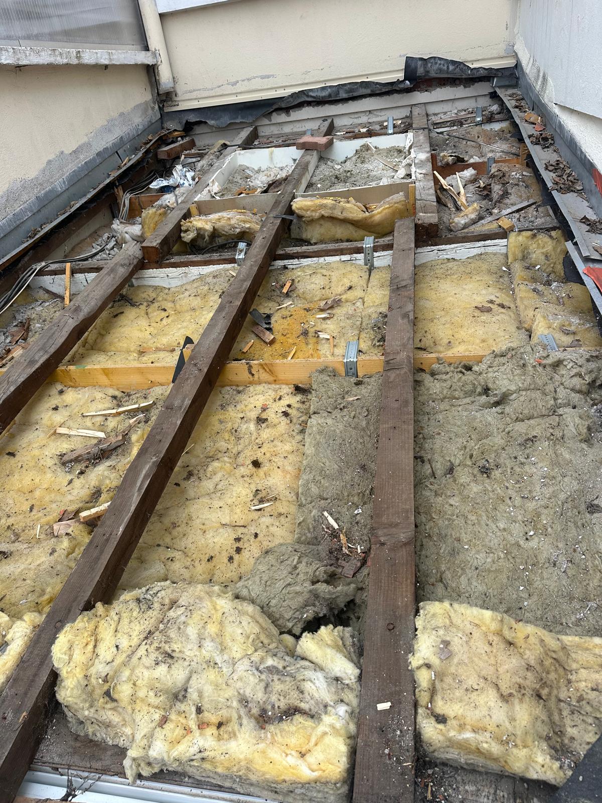 PHOTO 2025 11 10 23 20 04 3