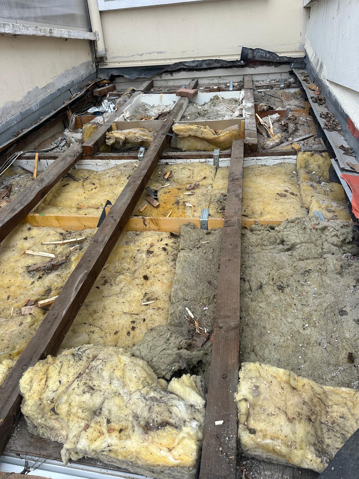 PHOTO 2025 11 10 23 20 04 4