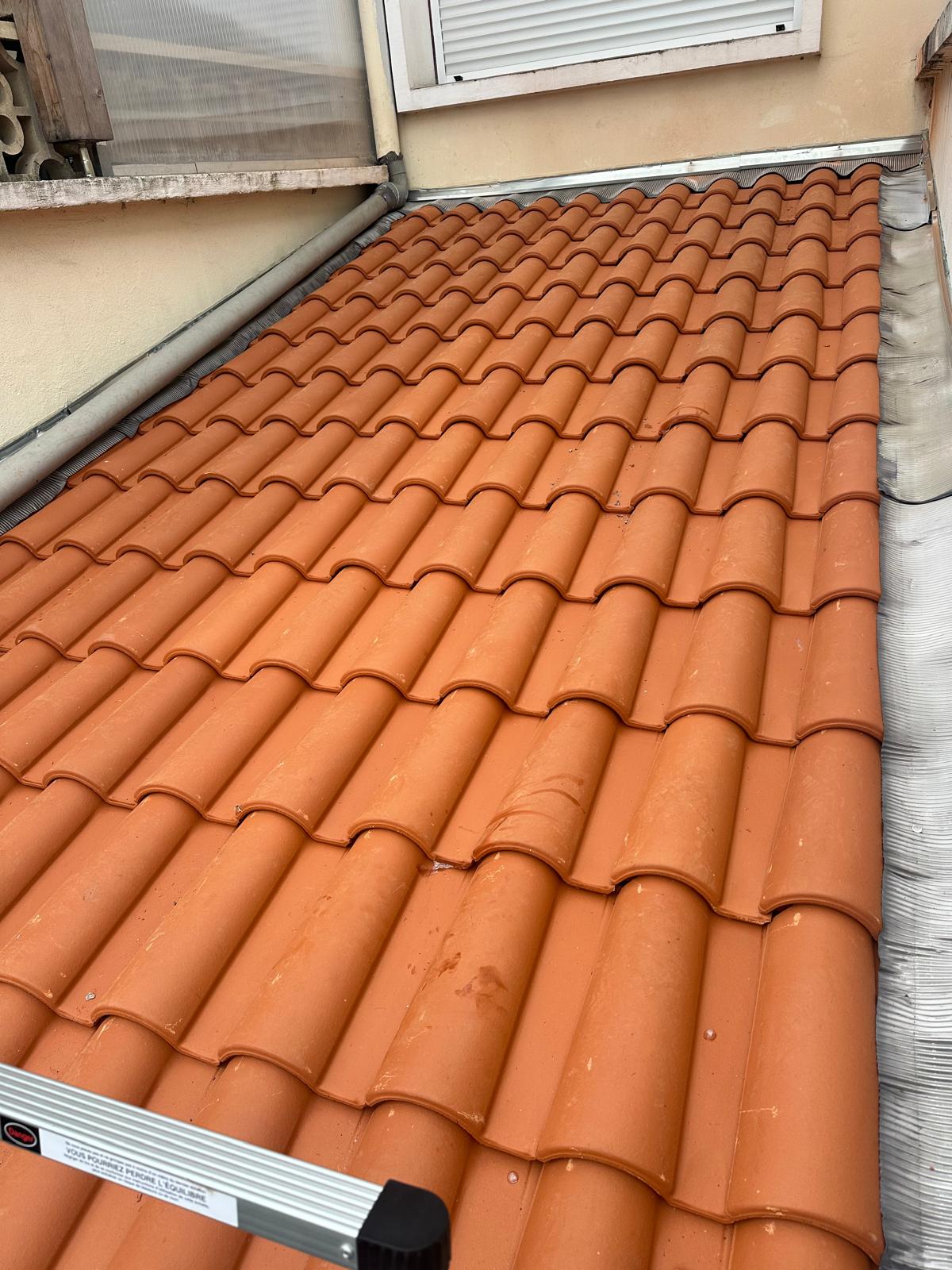 PHOTO 2025 11 10 23 20 04 6