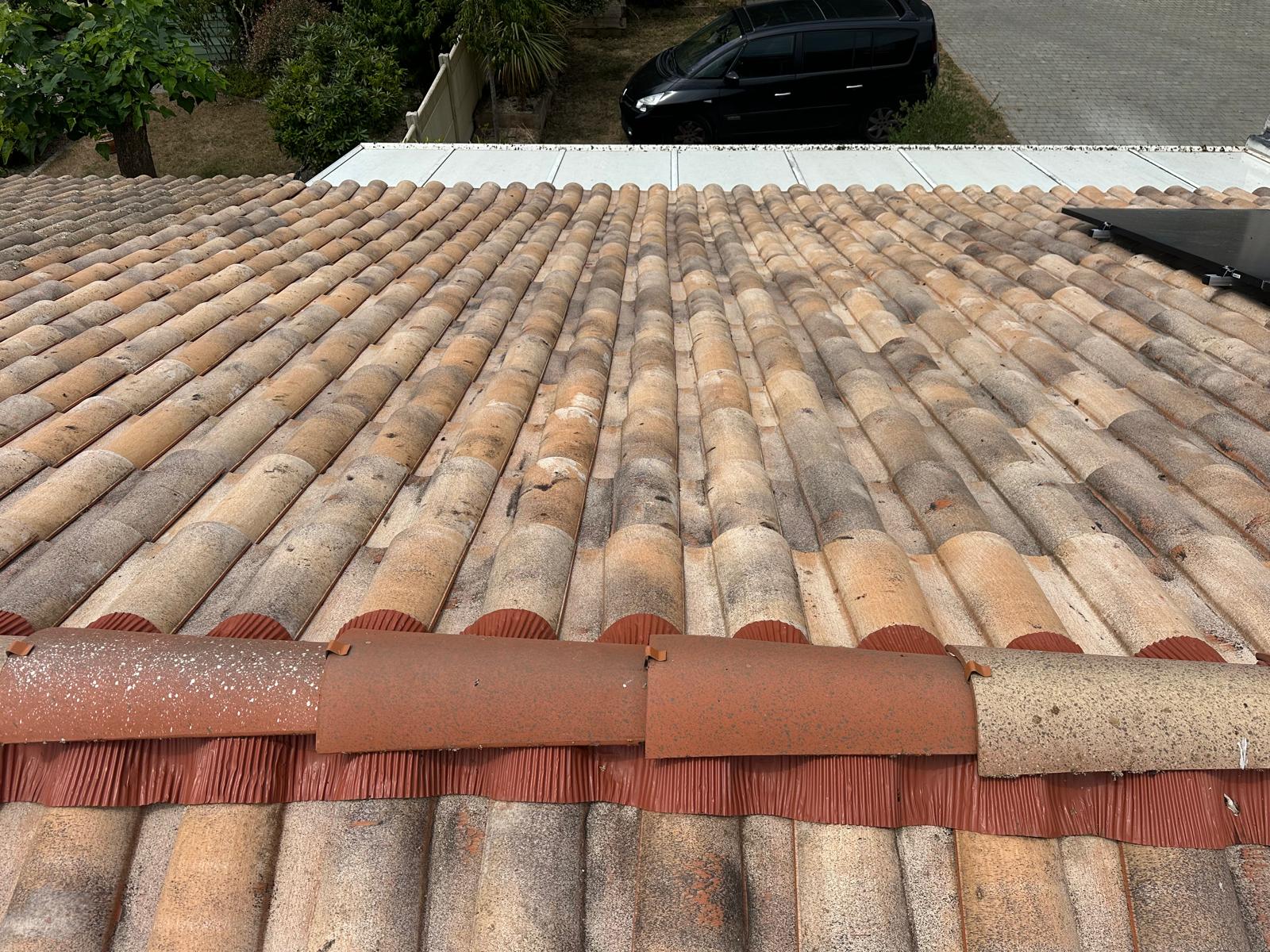 PHOTO 2025 11 10 23 20 04 7