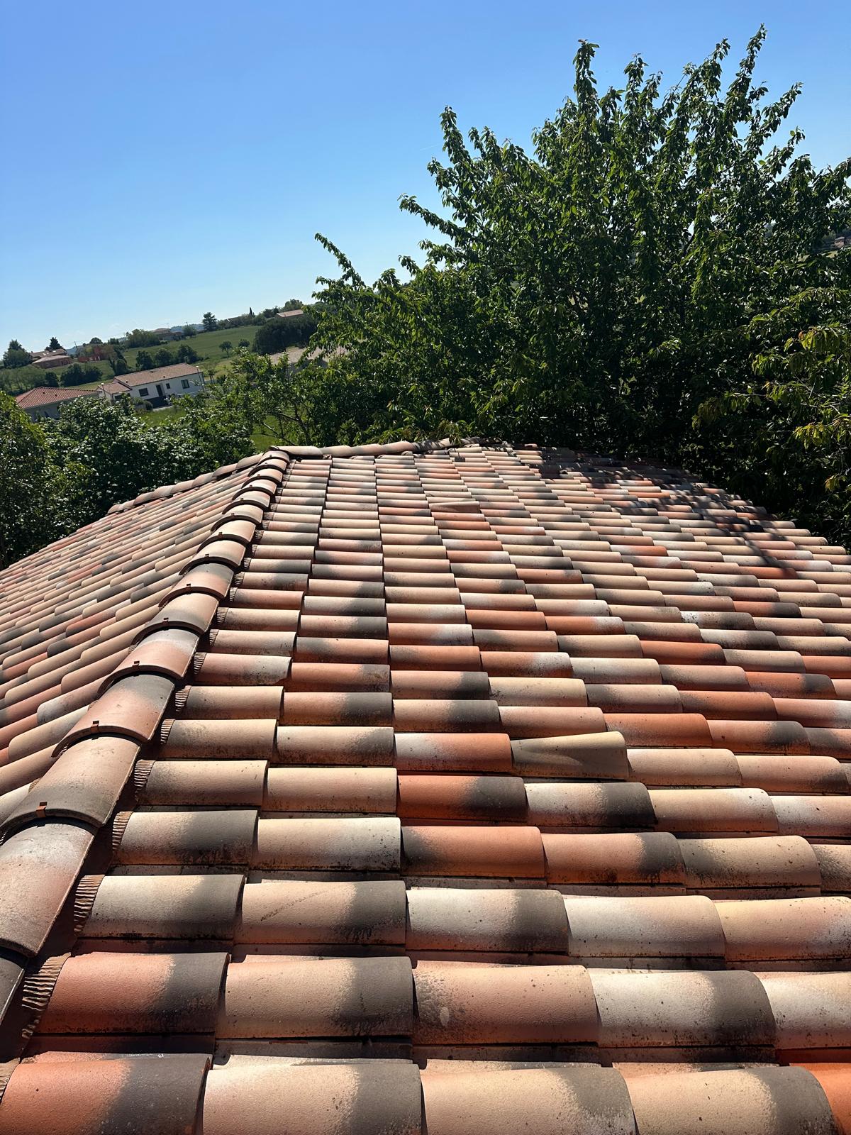 PHOTO 2025 11 10 23 20 04