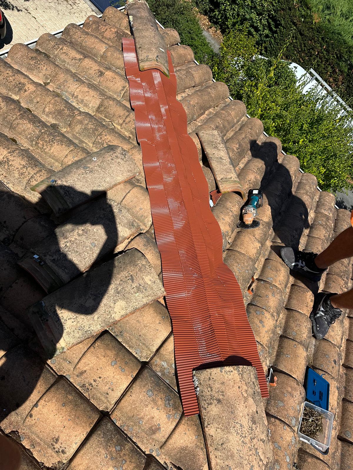 PHOTO 2025 11 10 23 20 05 2