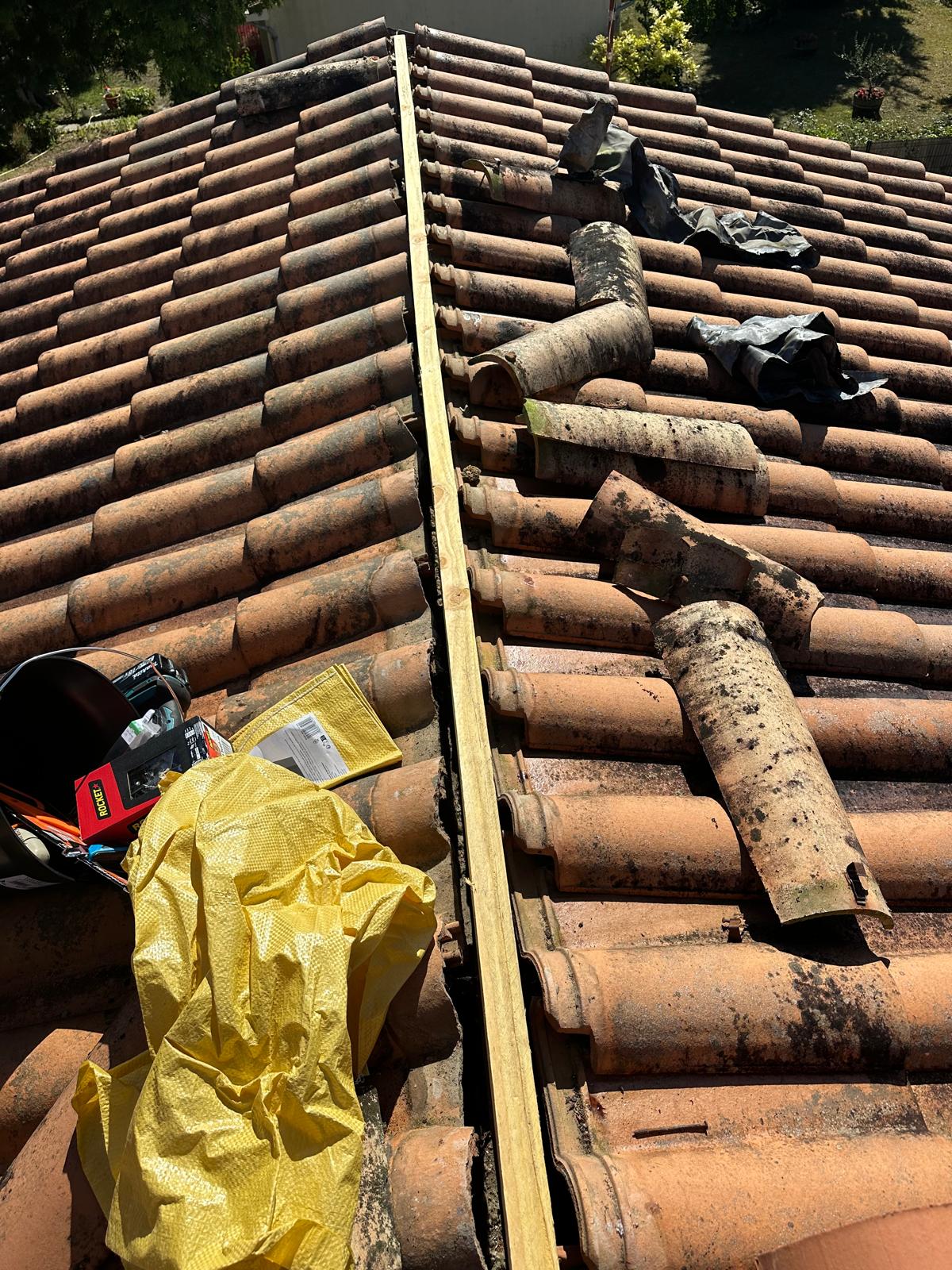 PHOTO 2025 11 10 23 20 05 6