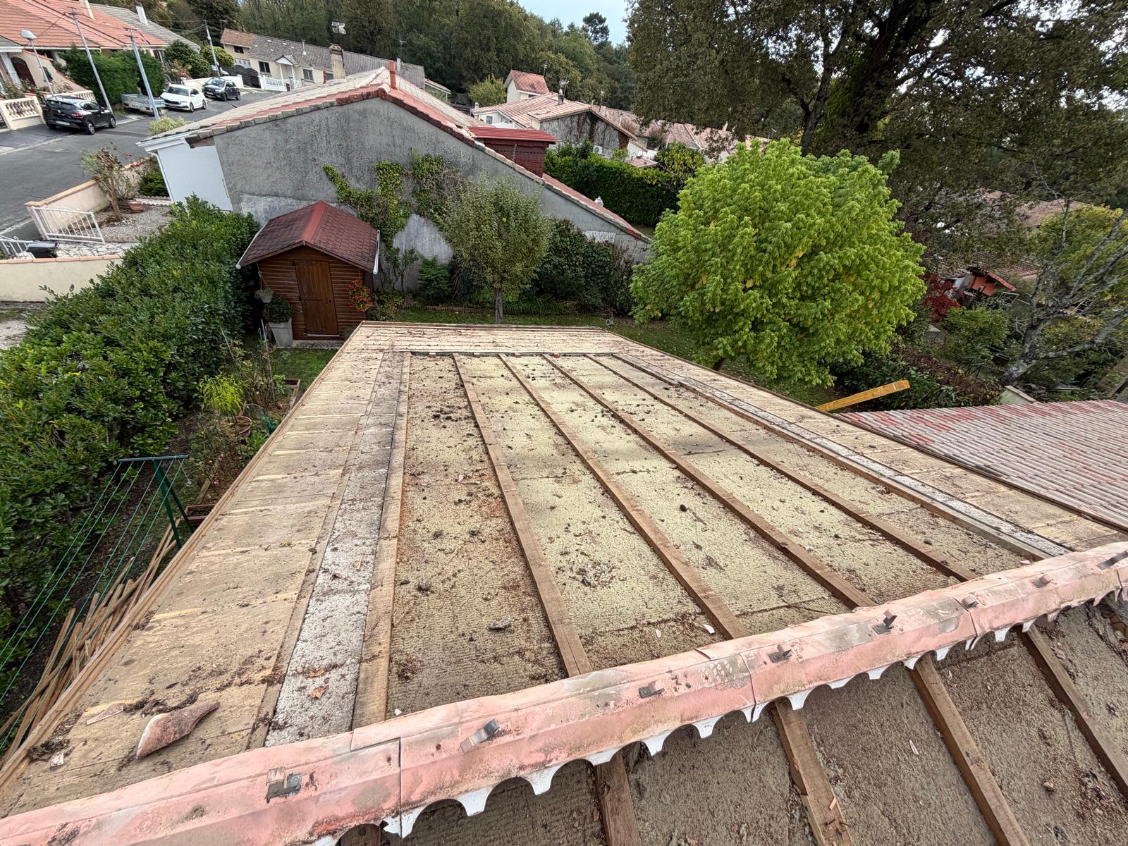 PHOTO 2025 11 10 23 20 09 4