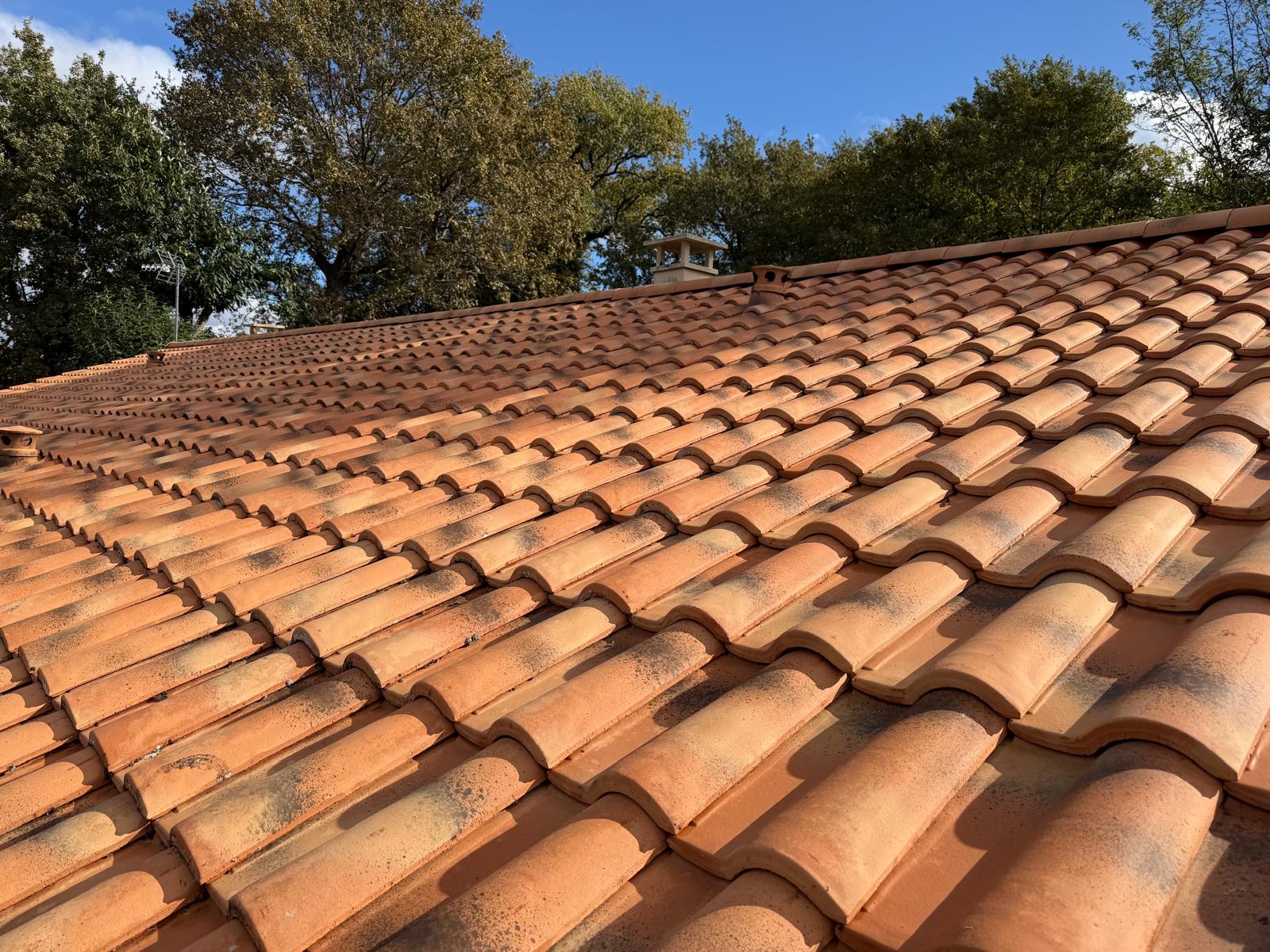 PHOTO 2025 11 10 23 20 09 7