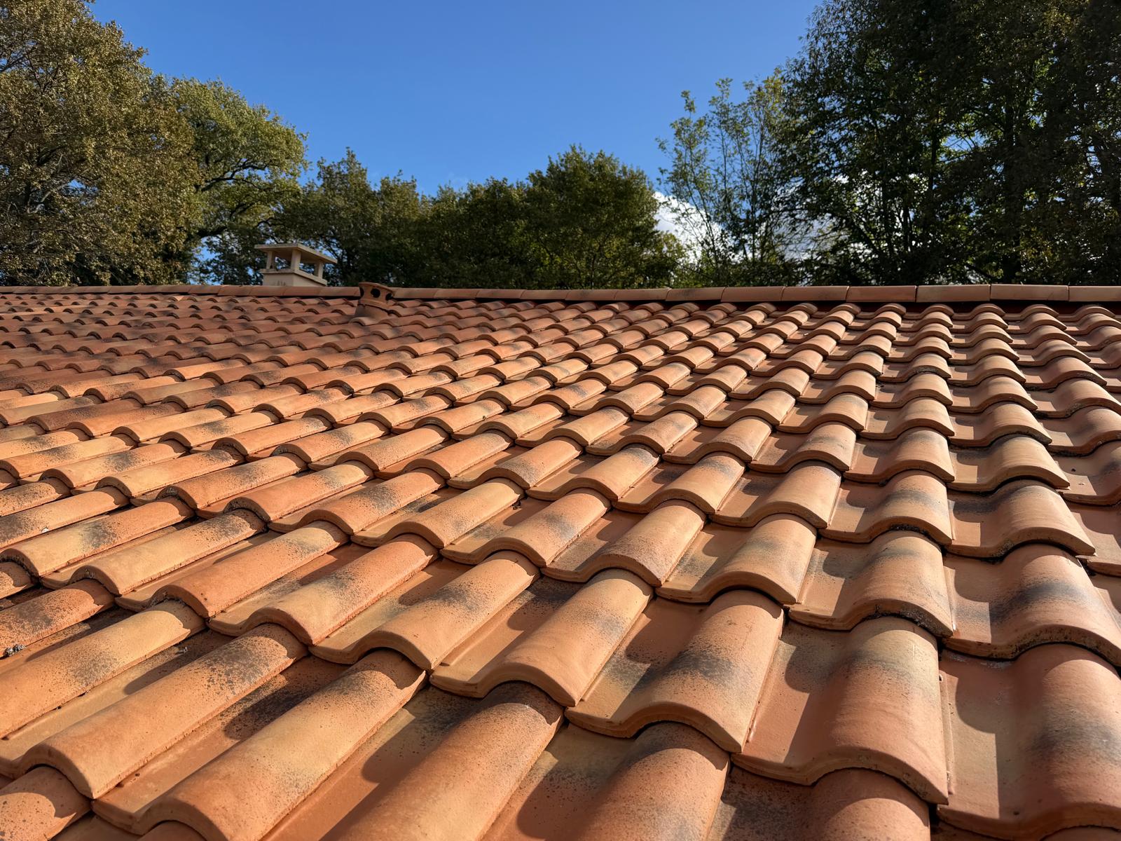 PHOTO 2025 11 10 23 20 09 8