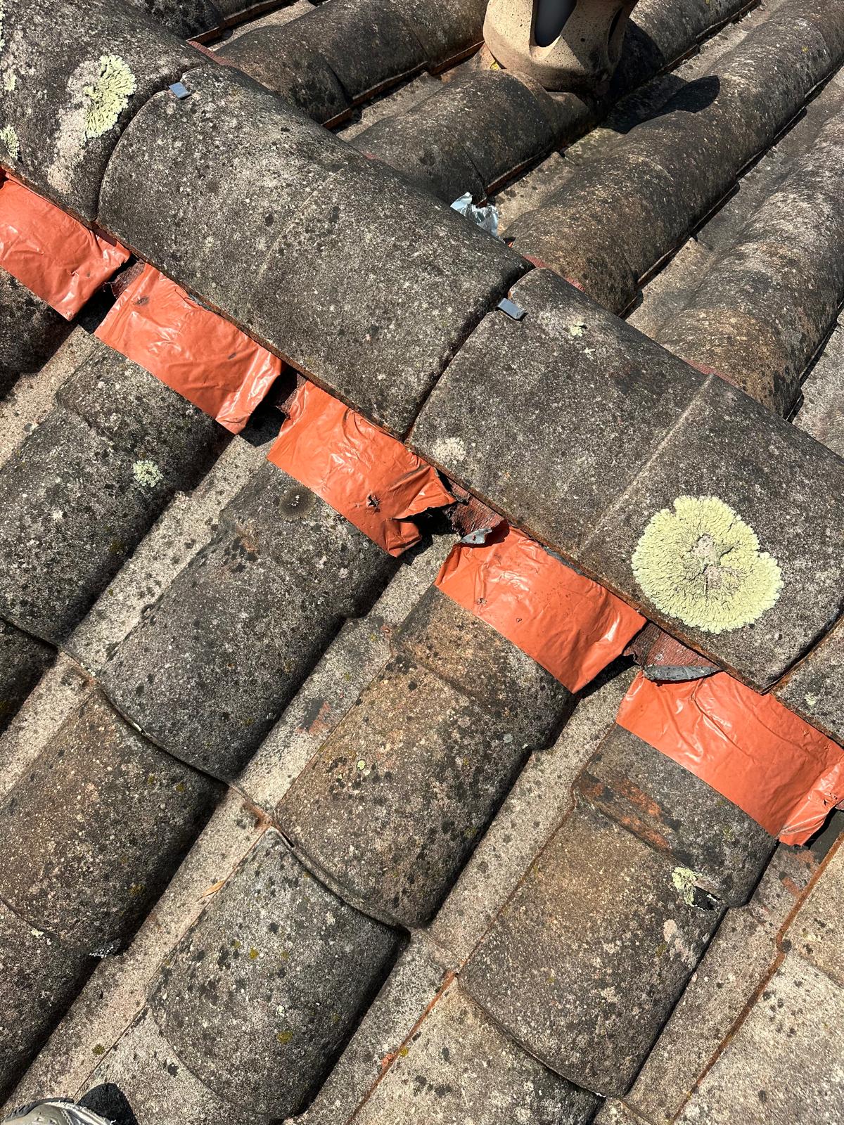 PHOTO 2025 11 10 23 20 09